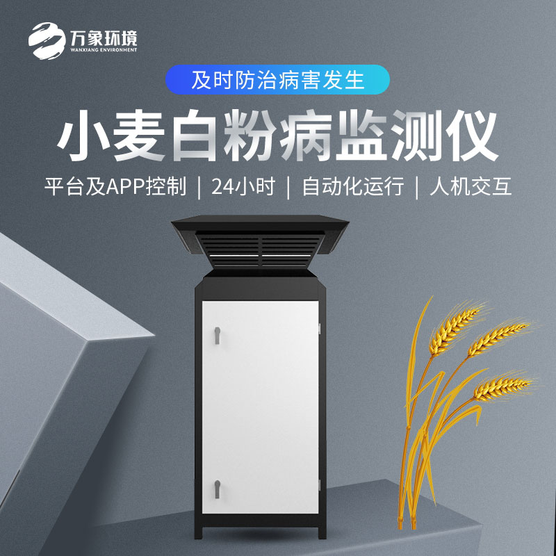 白粉病監(jiān)測儀如何防治小麥病害？